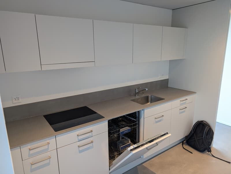 2 ½ rooms, Minergie attic flat in a clam street in Zürich Altstetten (11)
