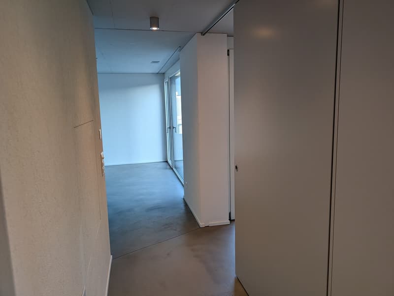 2 ½ rooms, Minergie attic flat in a clam street in Zürich Altstetten (4)