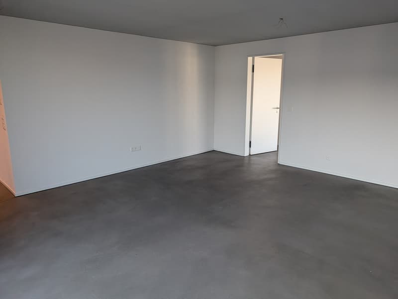 2 ½ rooms, Minergie attic flat in a clam street in Zürich Altstetten (3)