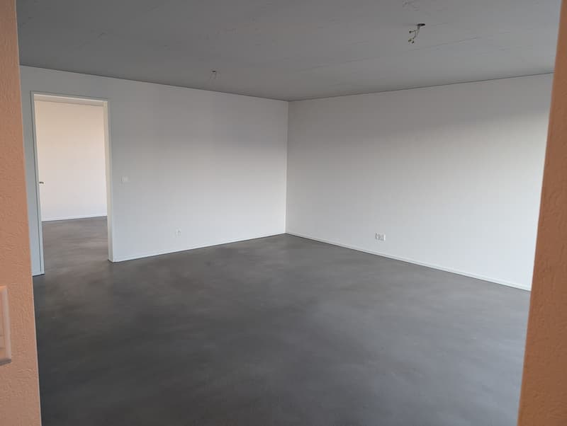 2 ½ rooms, Minergie attic flat in a clam street in Zürich Altstetten (2)