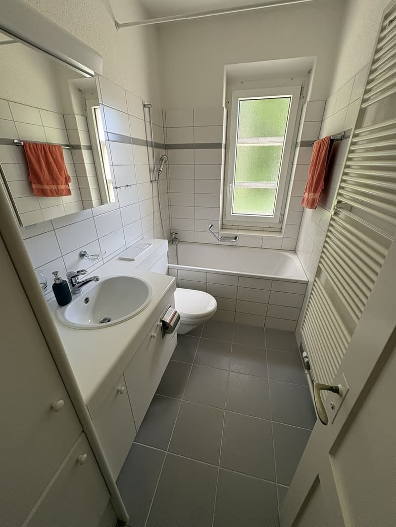 Befristet . WG-Zimmer 20 m2 in Zürich, Top zentrale Lage bei Bucheggplatz (2)