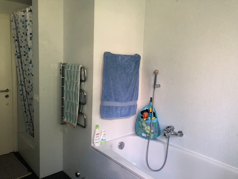 Sonnige 3,5-Zimmer-Wohnung (8)