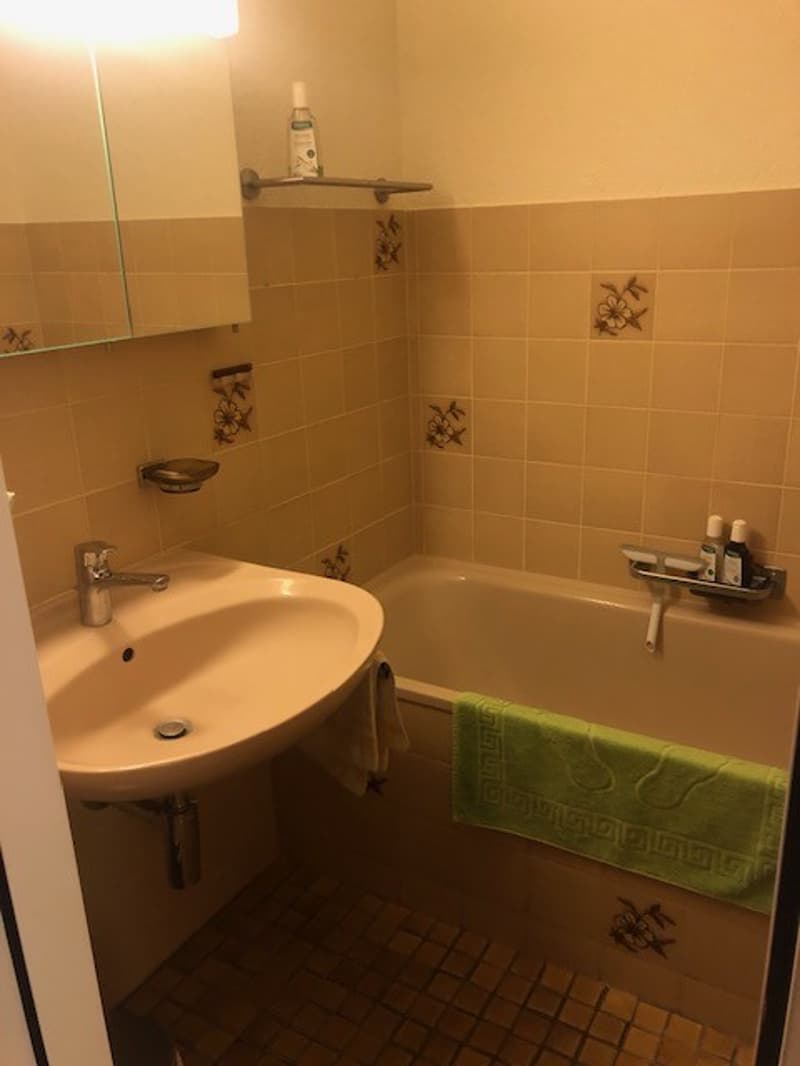 2-Zimmer-in einer WG mit gemeinsamem Wohnzimmer mit Seesicht in Hergiswil (8)