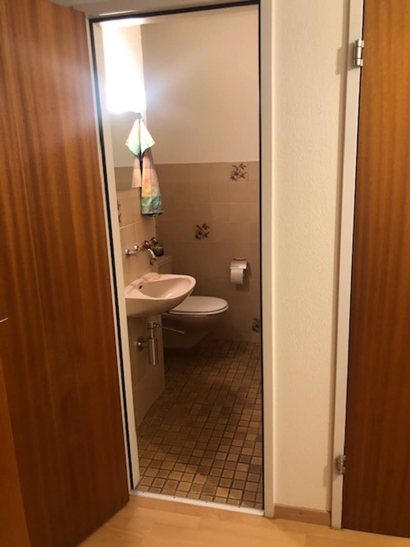 2-Zimmer-in einer WG mit gemeinsamem Wohnzimmer mit Seesicht in Hergiswil (10)