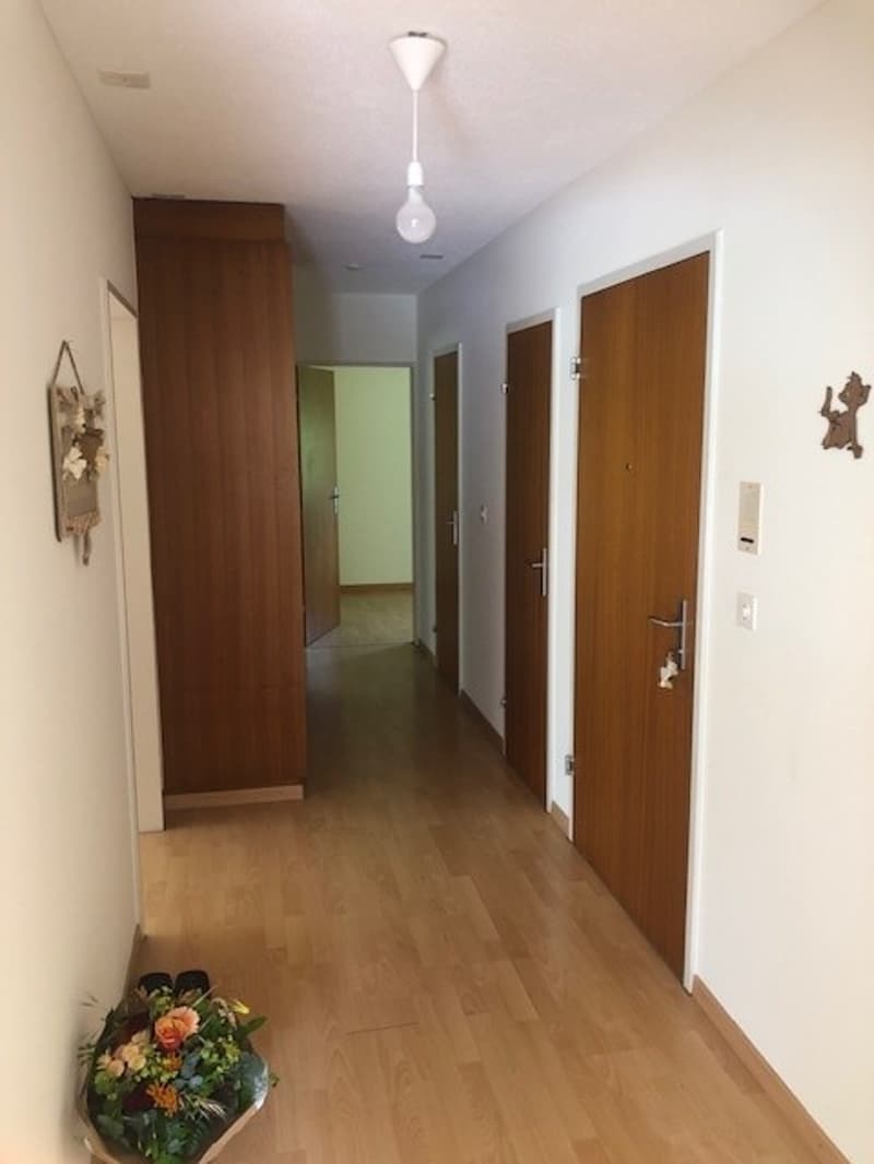 2-Zimmer-in einer WG mit gemeinsamem Wohnzimmer mit Seesicht in Hergiswil (11)