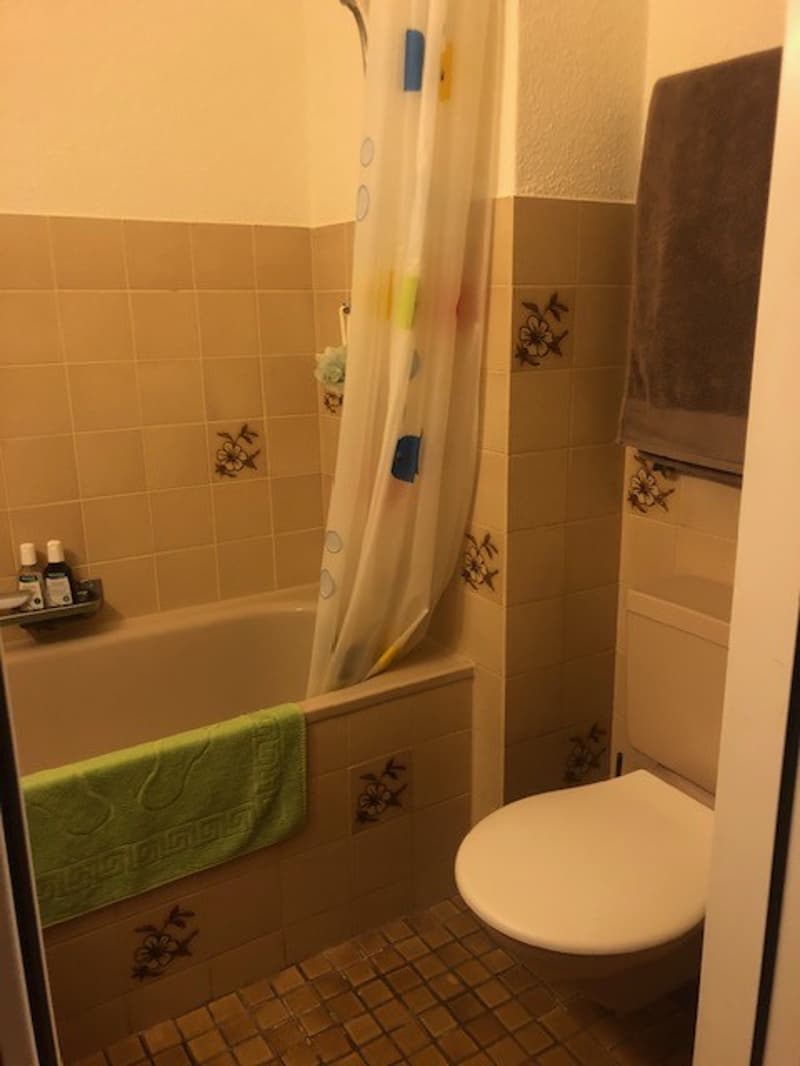 2-Zimmer-in einer WG mit gemeinsamem Wohnzimmer mit Seesicht in Hergiswil (9)