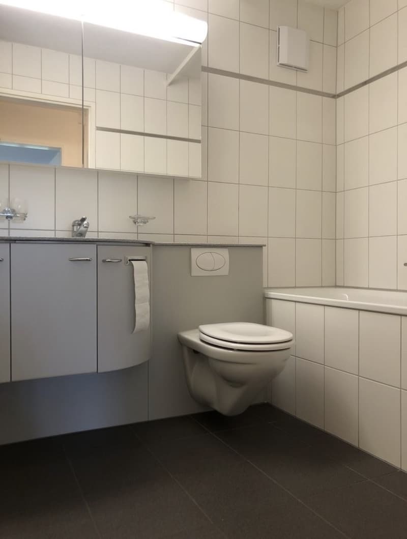 Appartement 1 pièce, 8303 Bassersdorf (3)