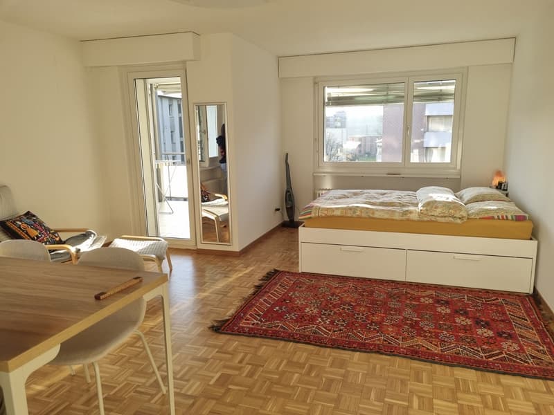 Appartement 1 pièce, 8303 Bassersdorf (1)