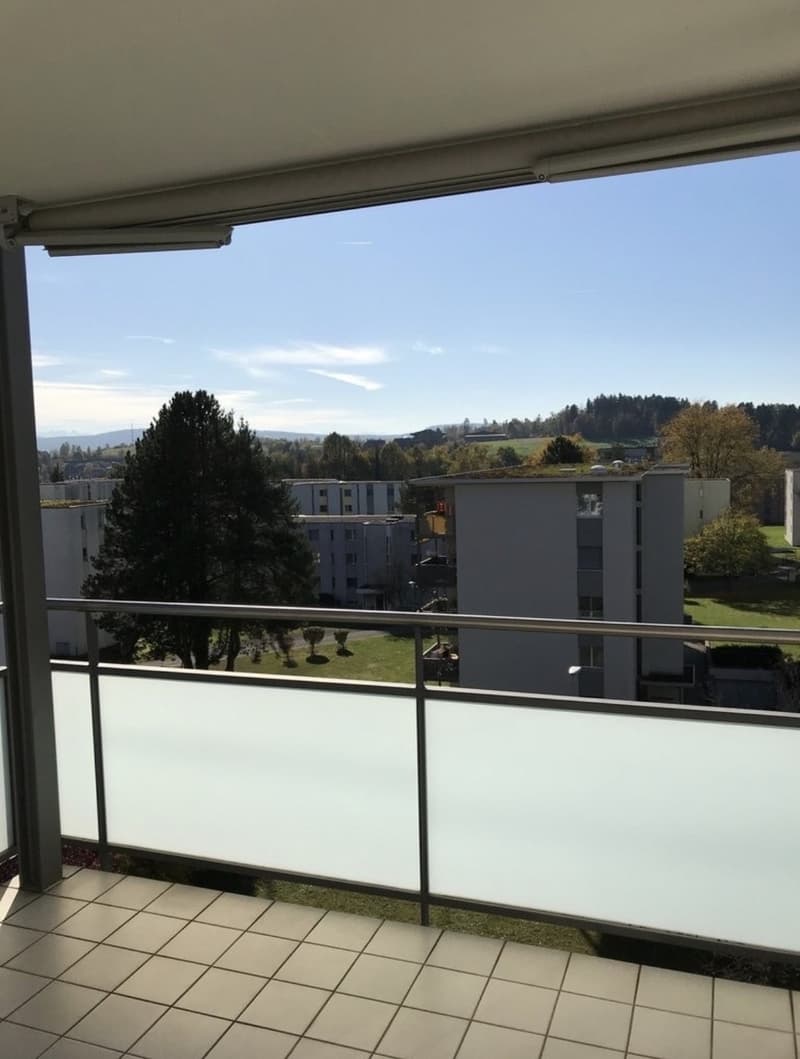 Appartement 1 pièce, 8303 Bassersdorf (4)