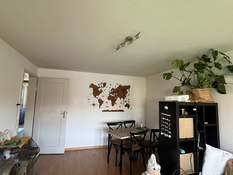 Möbliertes Zimmer (16 m²) in schöner 3.5-Zimmer-Wohnung | Zürich-Seebach | ab September 2026 (4)