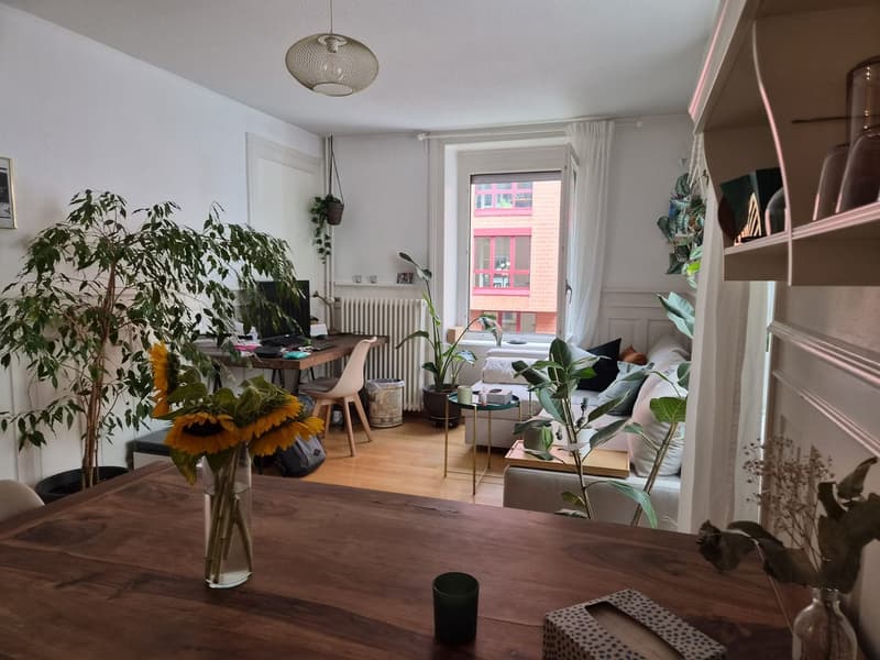 Mitbewohner/in in 2er WG neben Europaallee (5min zum HB) gesucht (6)