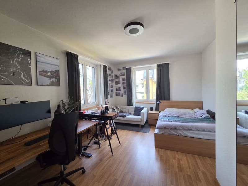 Nachmieter für 4.5 Zimmerwohnung beim Burgernziel gesucht (1)