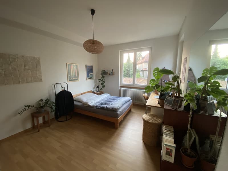 Nachmieter für 4.5 Zimmerwohnung beim Burgernziel gesucht (3)