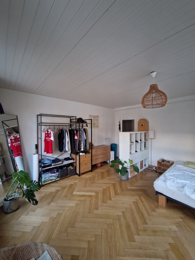 Nachmieter für 4.5 Zimmerwohnung beim Burgernziel gesucht (2)