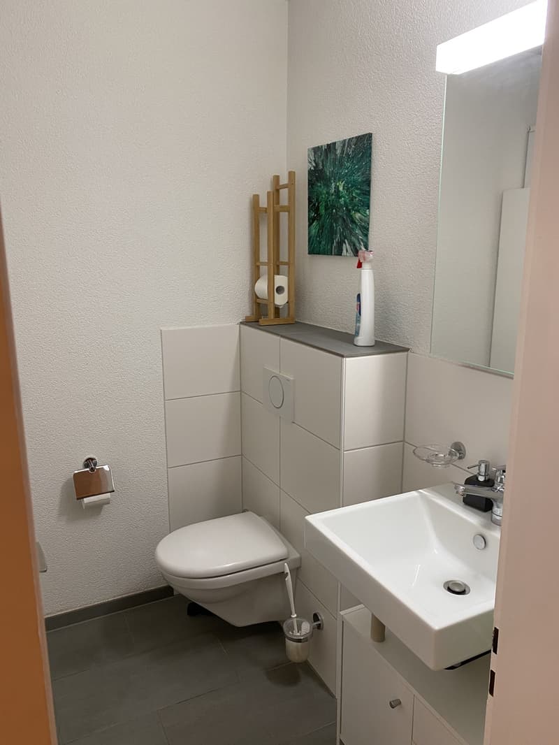 Nachmieter für 4.5 Zimmerwohnung beim Burgernziel gesucht (5)