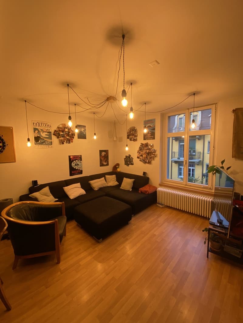 Nachmieter für 4.5 Zimmerwohnung beim Burgernziel gesucht (7)