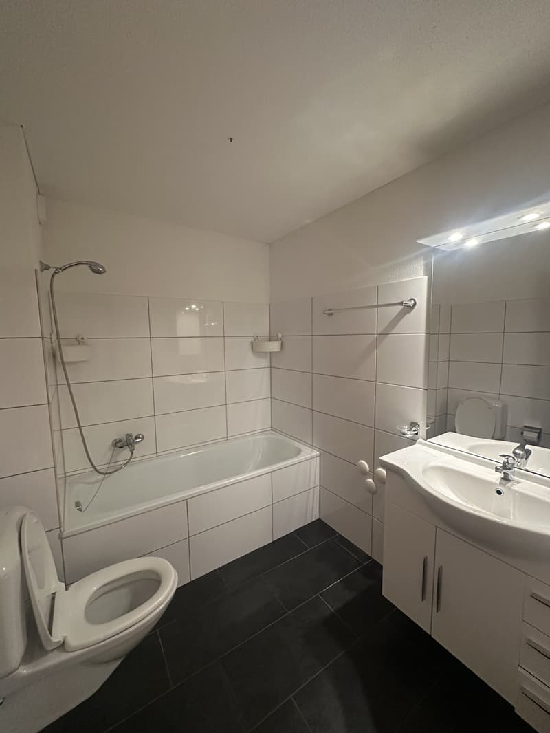 3.5-Zimmer Wohnung mit herrlicher Aussicht (4)