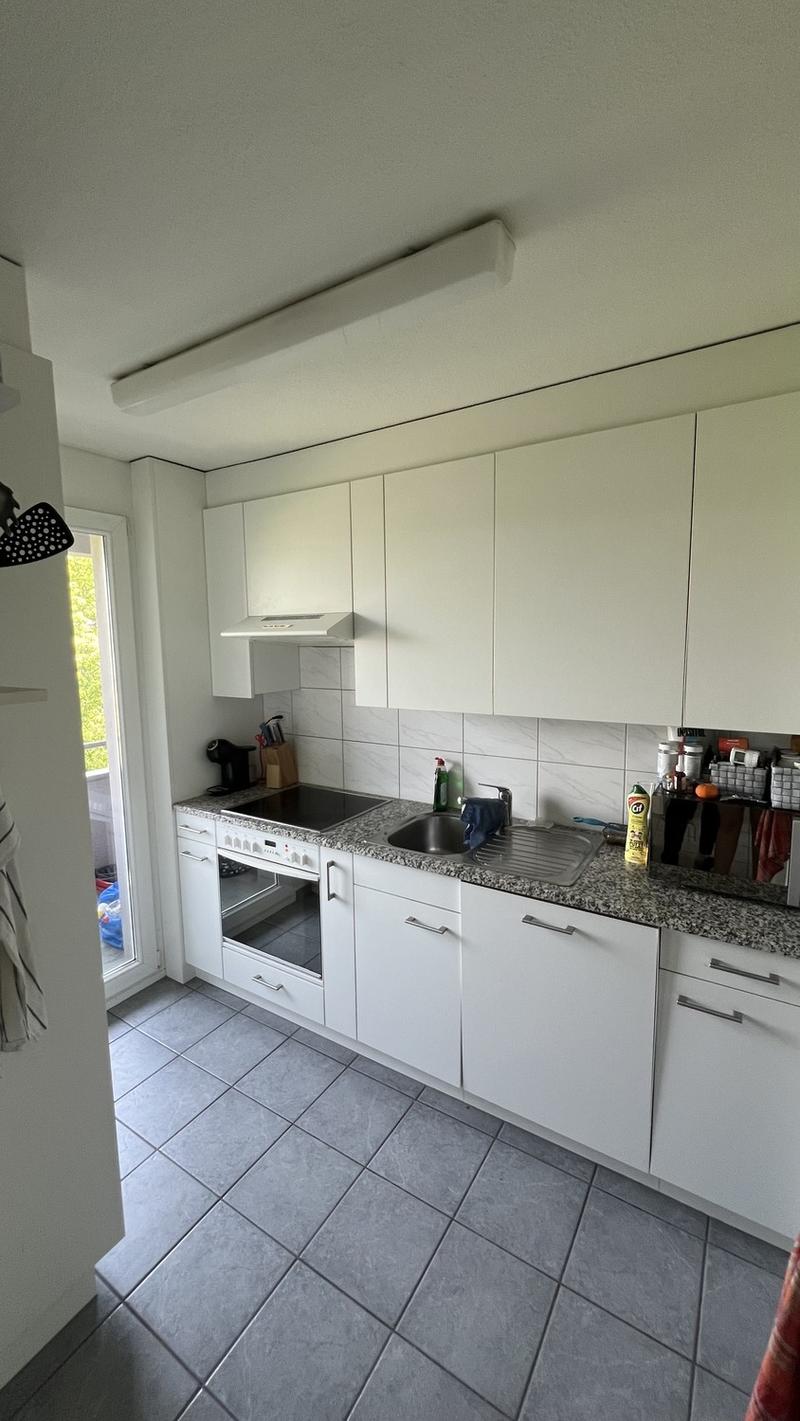 3,5 Zi. Wohnung befristet zu vermieten (4)