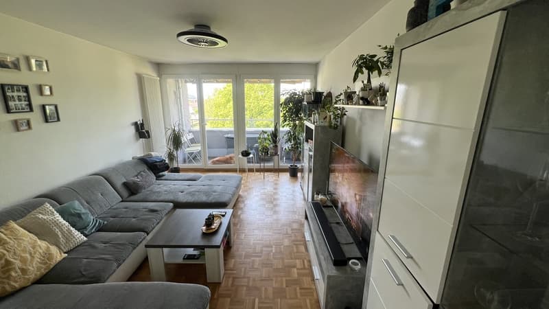 3,5 Zi. Wohnung befristet zu vermieten (1)