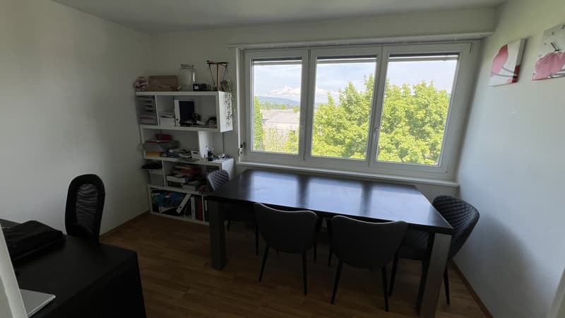 3,5 Zi. Wohnung befristet zu vermieten (7)