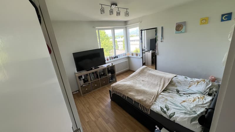 3,5 Zi. Wohnung befristet zu vermieten (3)