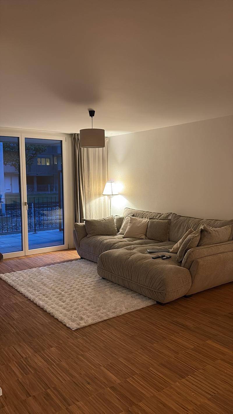 Neubauwohnung 2 1/2 Zimmer (8)