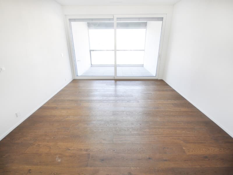 4.5-Room Apartment with Lake View - 2 Minutes from Zug Station (4)