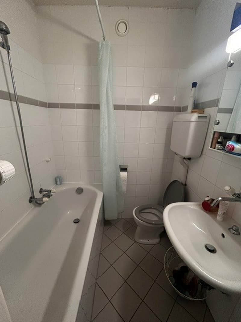 Charming 3-room apartment 42 m² Saint-Jean, Geneva (5)