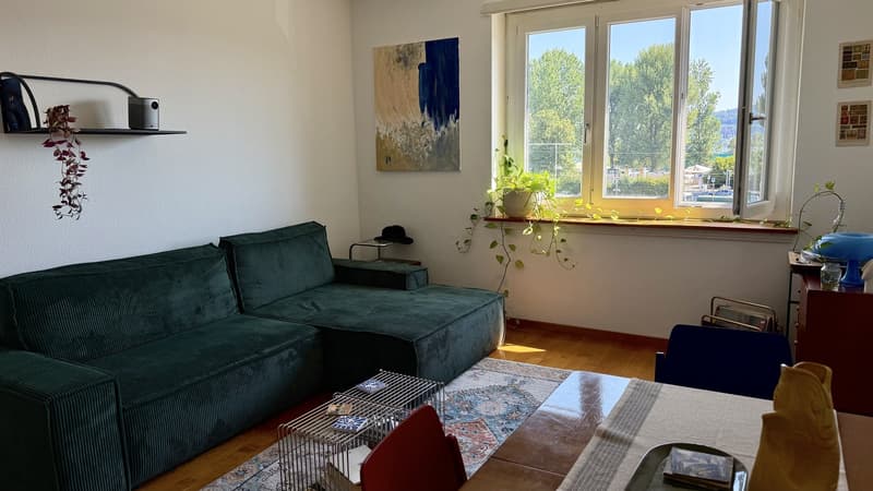 2.5-Room Apartment for Rent in Zürich-Wollishofen (2)