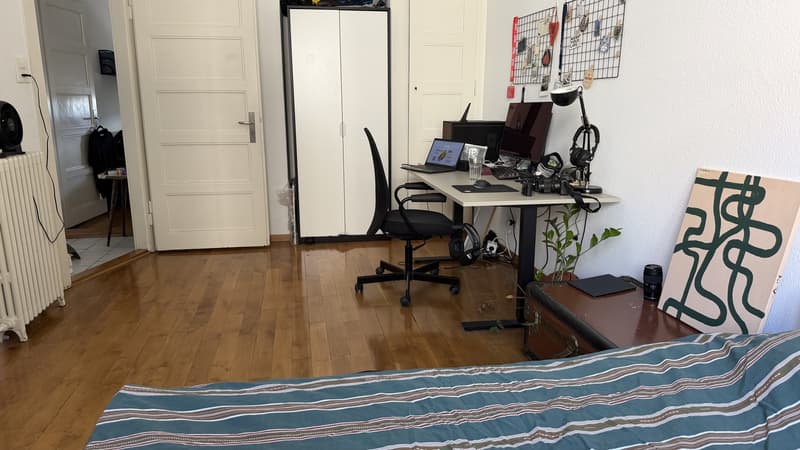 2.5-Room Apartment for Rent in Zürich-Wollishofen (7)