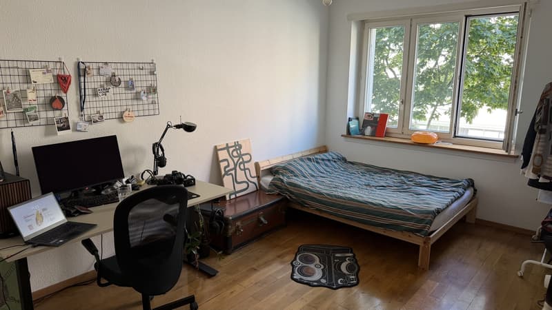 2.5-Room Apartment for Rent in Zürich-Wollishofen (6)