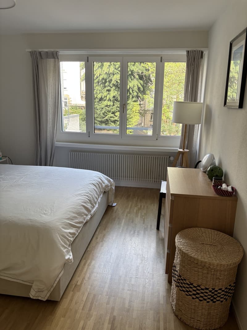 4.5-room available in Zürich Seefeld for 3 months - to sublet (7)