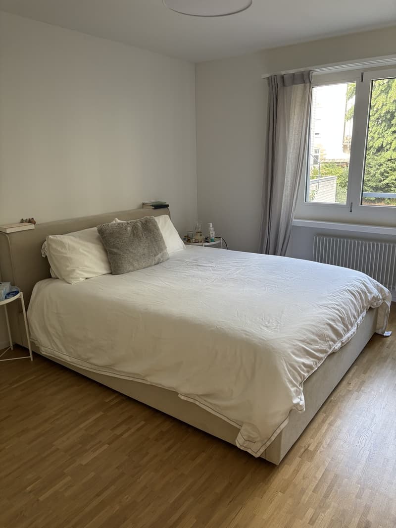 4.5-room available in Zürich Seefeld for 3 months - to sublet (6)