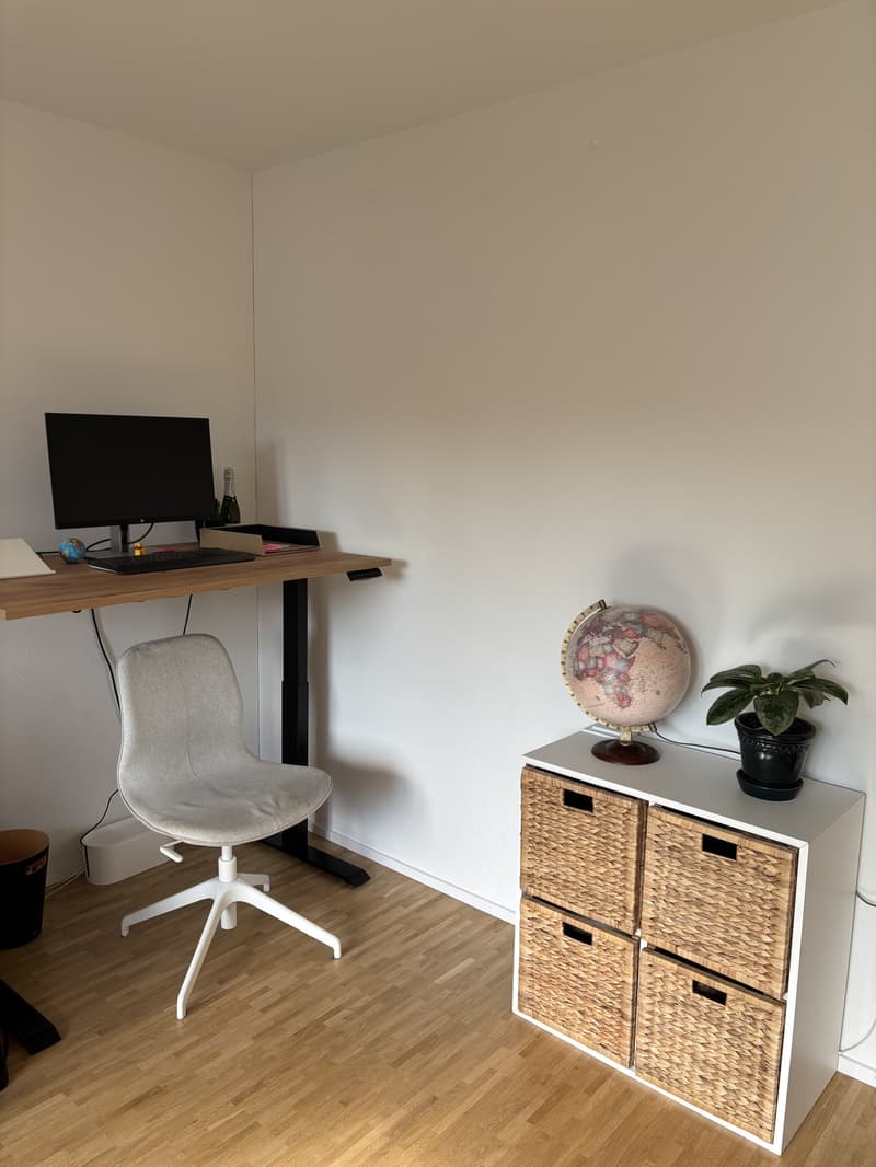 4.5-room available in Zürich Seefeld for 3 months - to sublet (11)