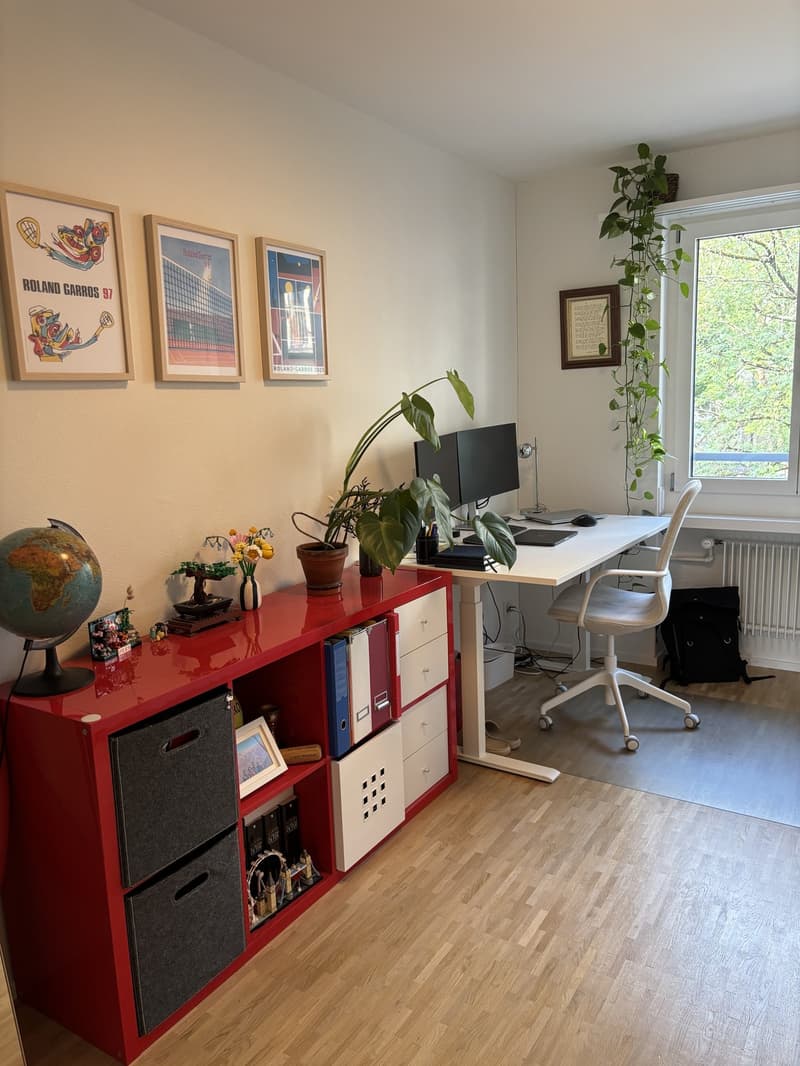 4.5-room available in Zürich Seefeld for 3 months - to sublet (13)