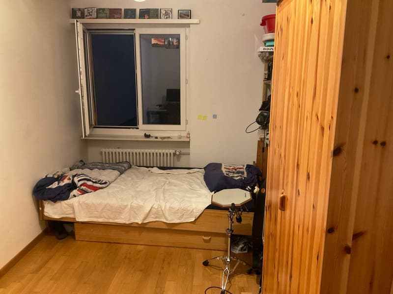Room in a 3-person apartment close to Hönggerberg (Affoltern) (4)