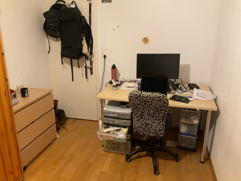 Room in a 3-person apartment close to Hönggerberg (Affoltern) (3)