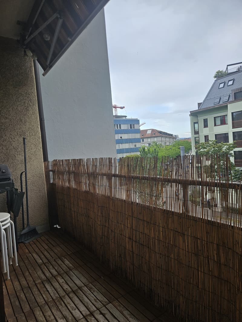 Cozy, Fully Furnished Apartment for Sublet, Near Albisriederplatz, Zurich (3)
