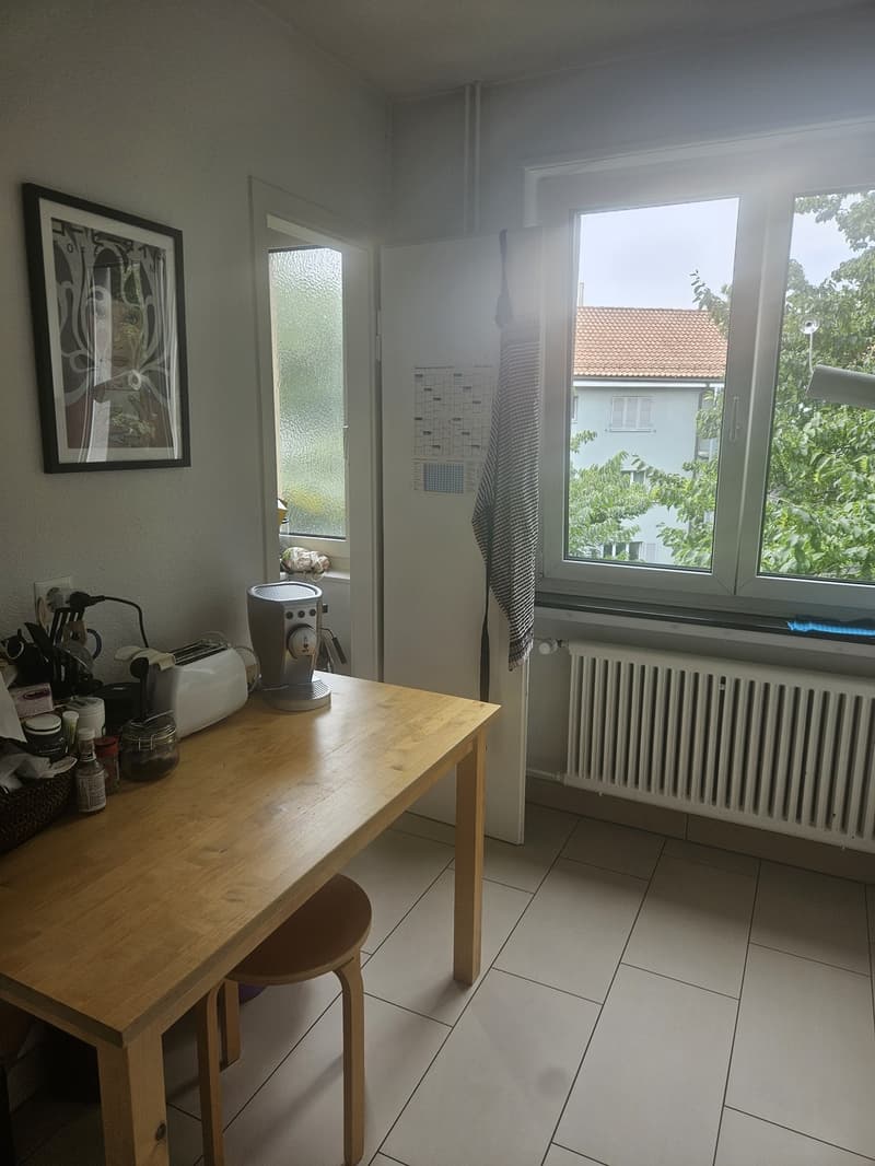 Cozy, Fully Furnished Apartment for Sublet, Near Albisriederplatz, Zurich (9)
