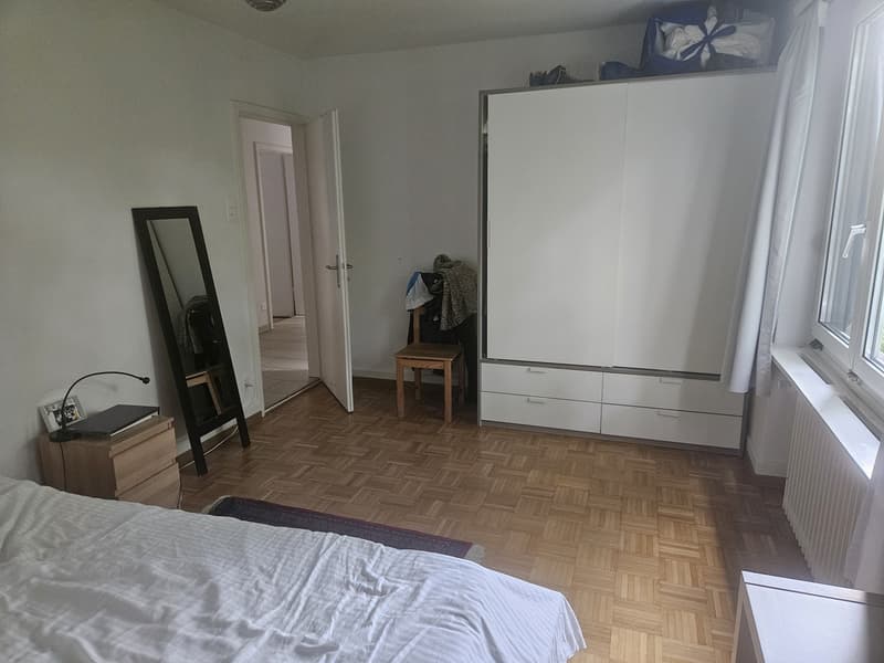 Cozy, Fully Furnished Apartment for Sublet, Near Albisriederplatz, Zurich (2)