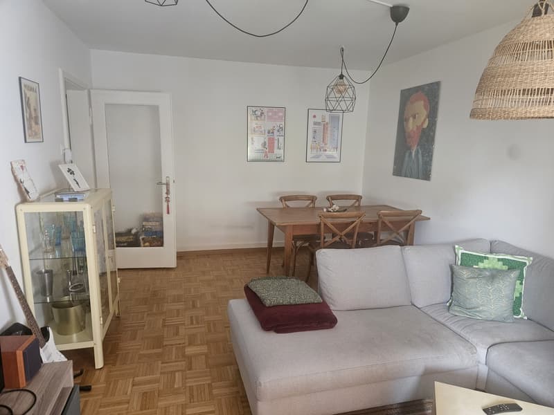 Cozy, Fully Furnished Apartment for Sublet, Near Albisriederplatz, Zurich (10)