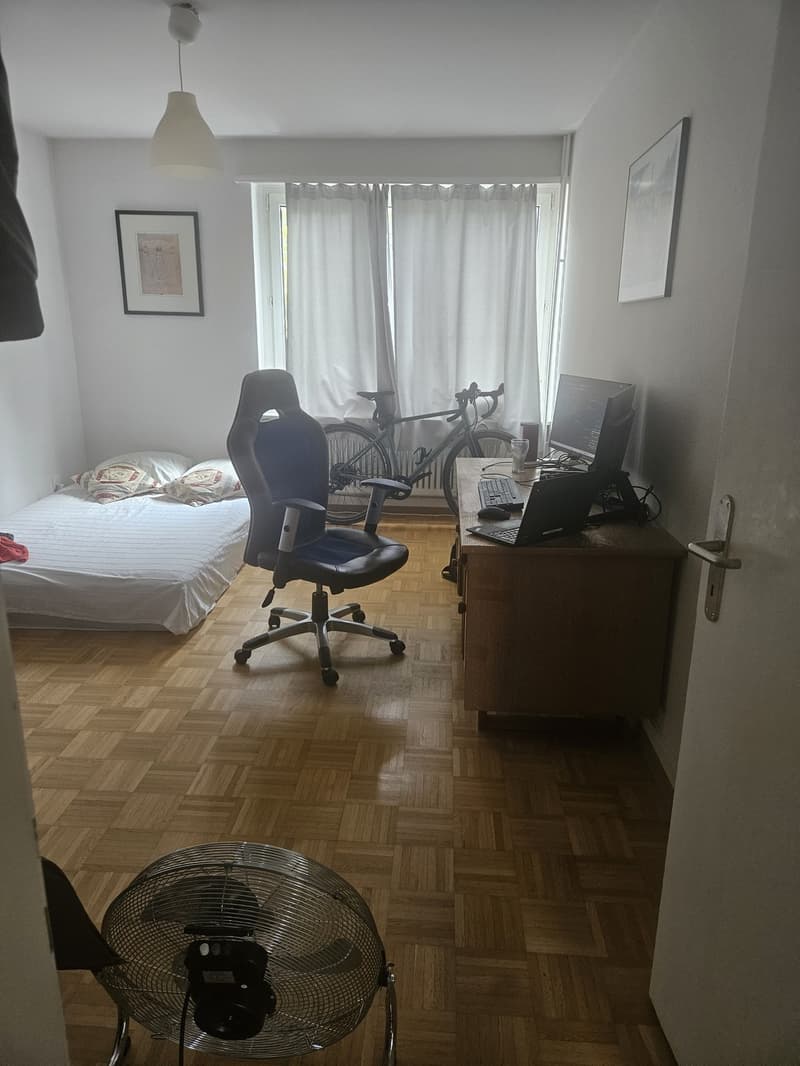 Cozy, Fully Furnished Apartment for Sublet, Near Albisriederplatz, Zurich (13)