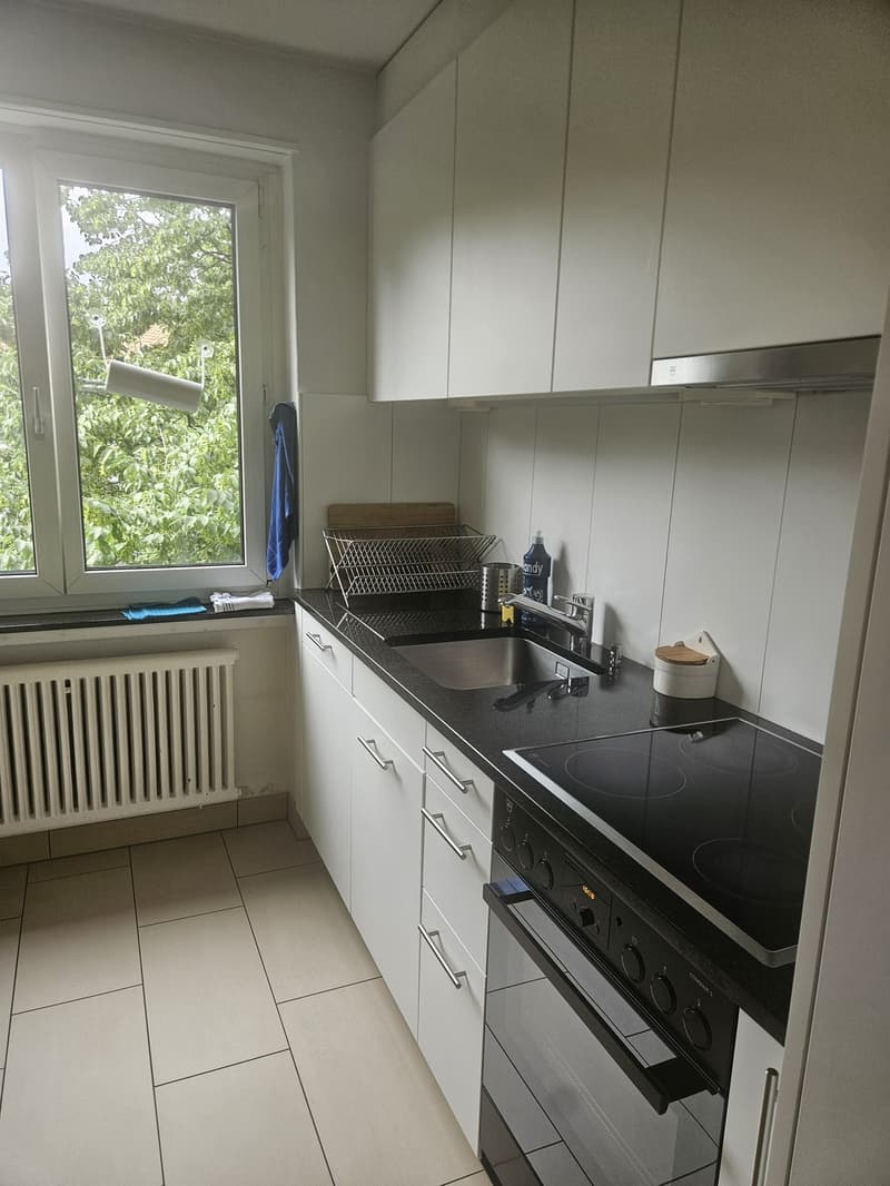 Cozy, Fully Furnished Apartment for Sublet, Near Albisriederplatz, Zurich (5)