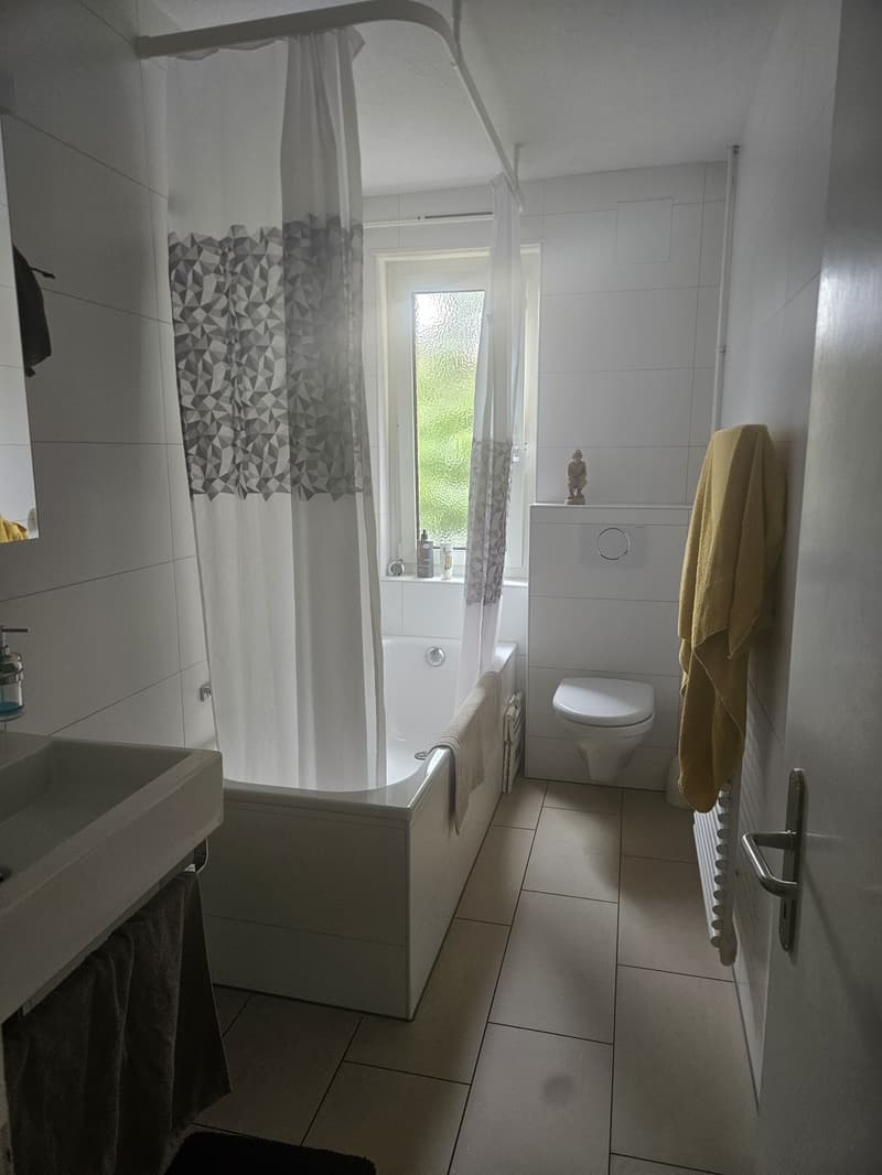 Cozy, Fully Furnished Apartment for Sublet, Near Albisriederplatz, Zurich (11)