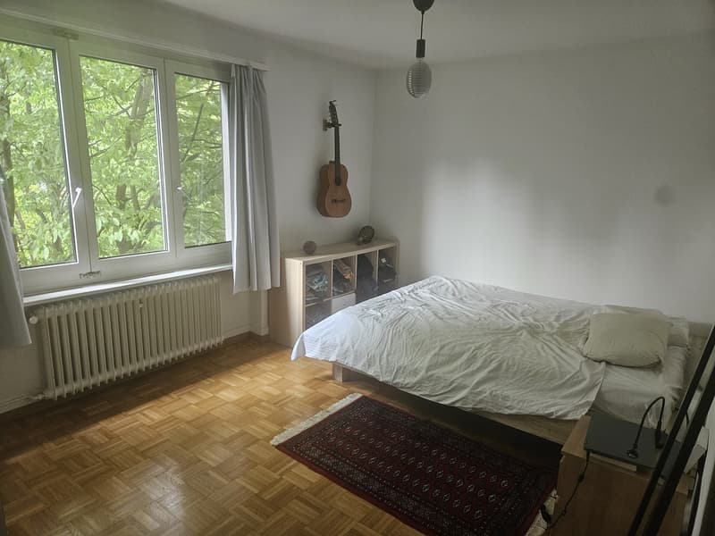 Cozy, Fully Furnished Apartment for Sublet, Near Albisriederplatz, Zurich (6)