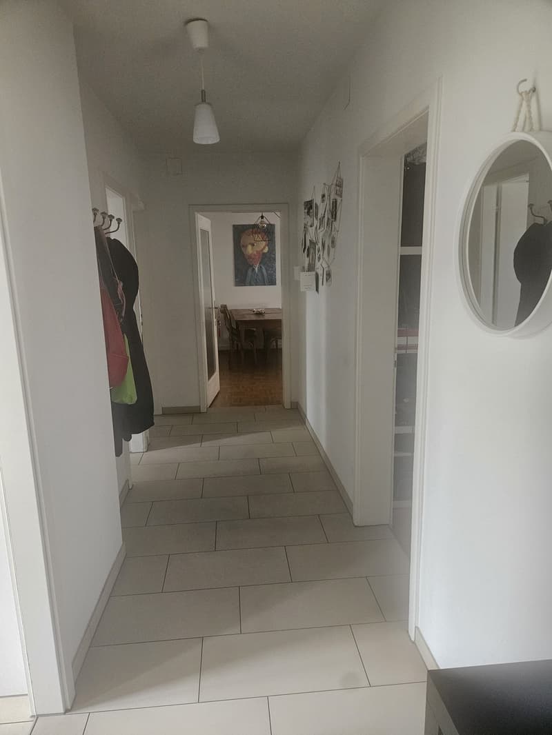 Cozy, Fully Furnished Apartment for Sublet, Near Albisriederplatz, Zurich (8)