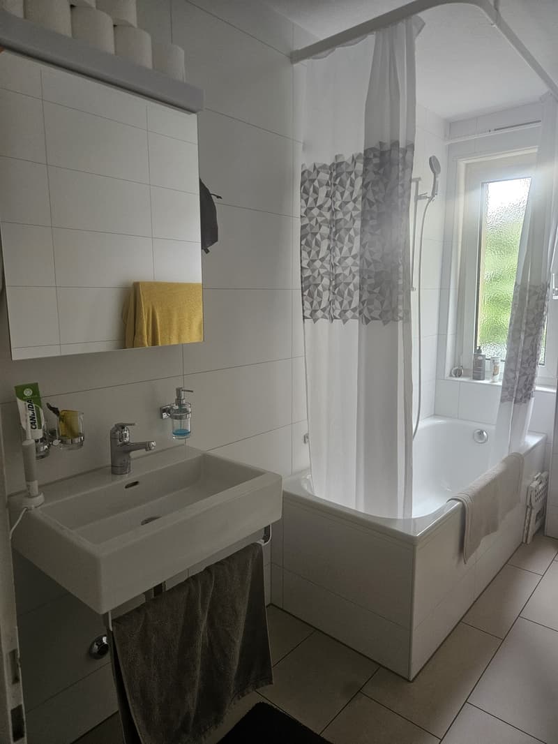 Cozy, Fully Furnished Apartment for Sublet, Near Albisriederplatz, Zurich (12)