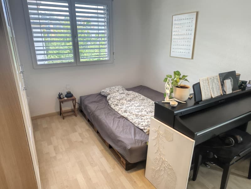 Zwei WG Zimmer in Wallisellen (6)