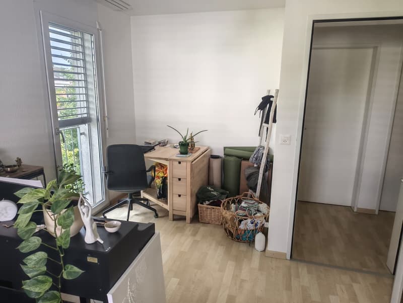 Zwei WG Zimmer in Wallisellen (5)