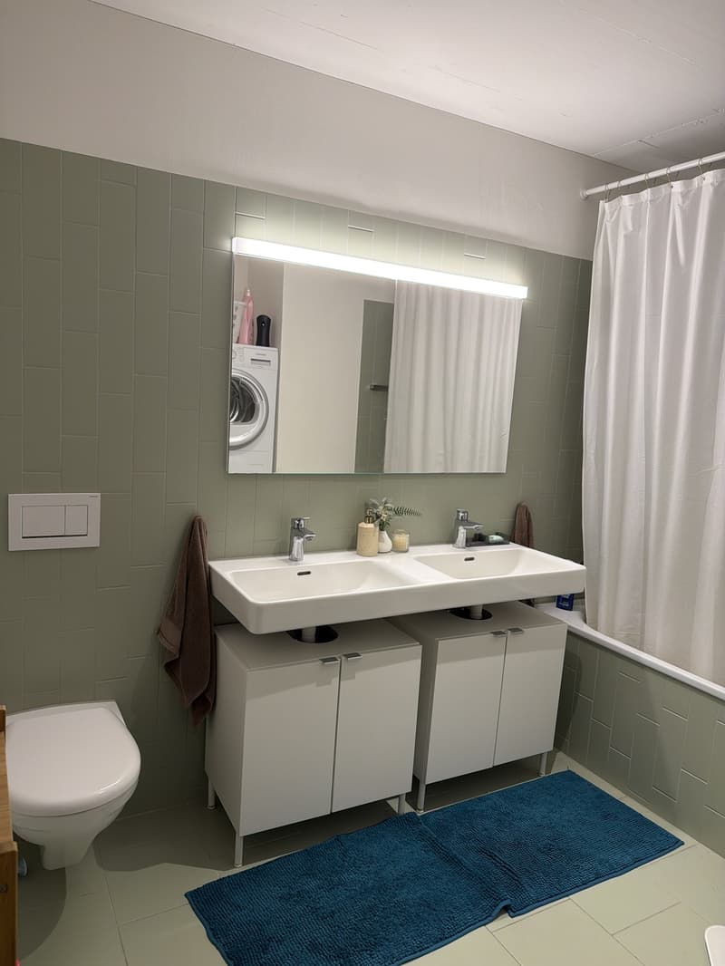 Bright 3.5-Room Apartment in Wallisellen / Zwicky Areal (7)
